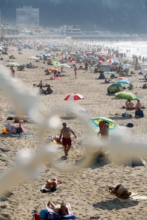 Ola de calor en Asturias