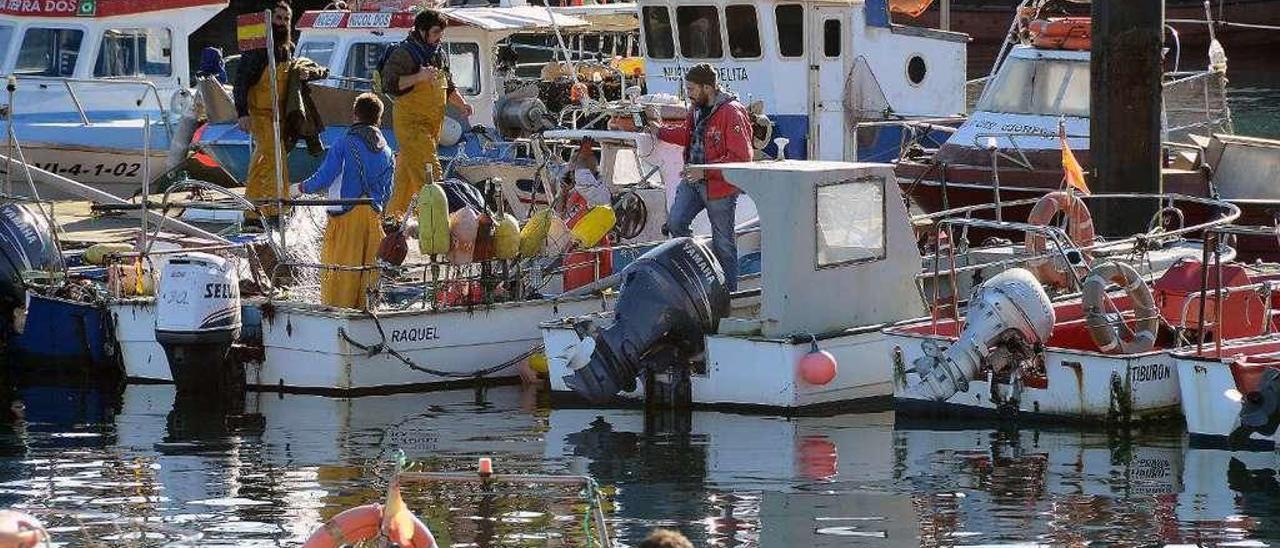 Marineros de bajura, ayer, regresando a la dársena del muelle de Cangas. // Gonzalo Núñez