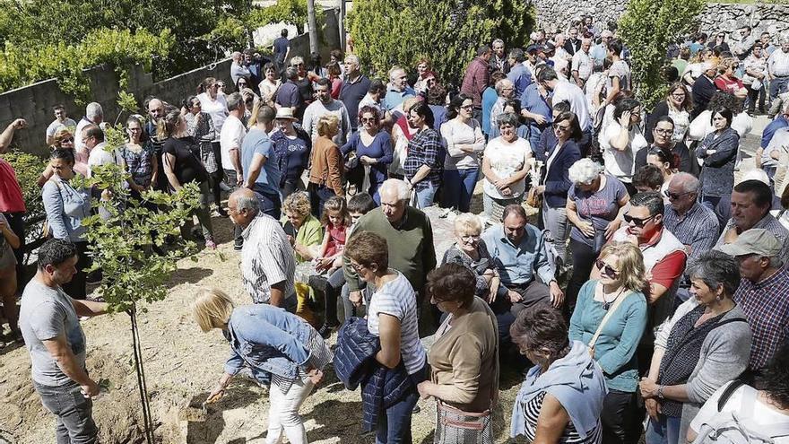 Los vecinos de Paramos plantaron un roble, símbolo de la unión forjada tras la catástrofe. // José Lores