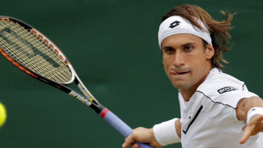 David Ferrer.