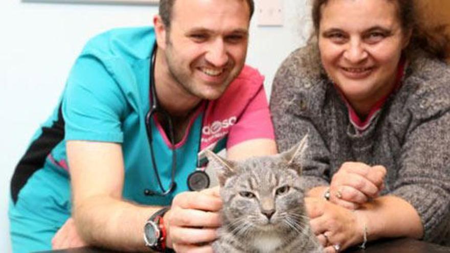 El gato Bobby, junto a su dueña y el veterinario que le atendió.