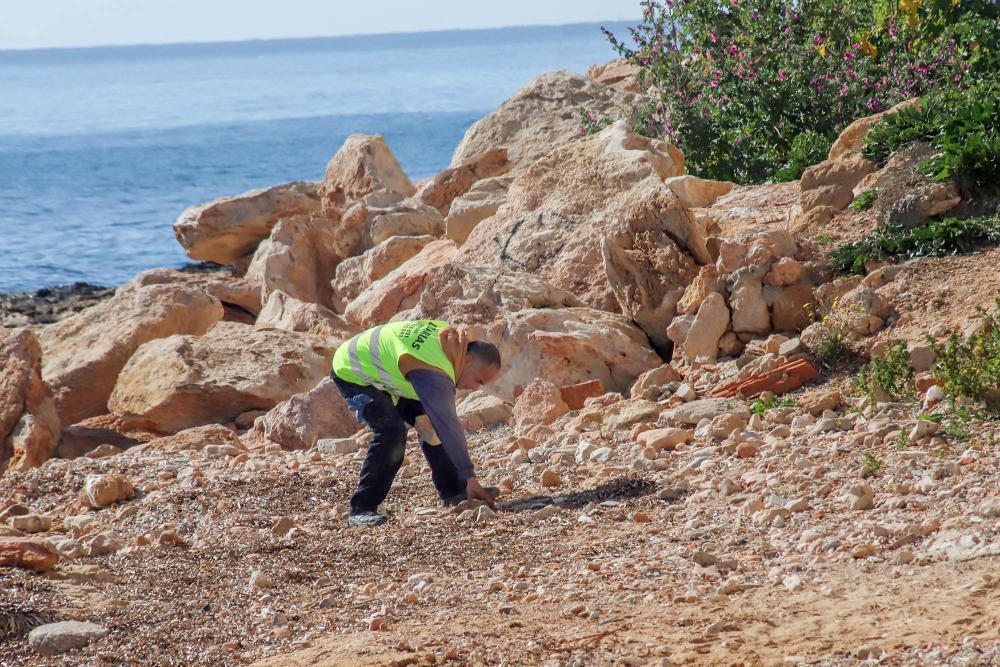 Han comenzado las  obras de remodelación del paseo de Punta Margalla en Torrevieja con una inversión de un millón de euros y cuatro meses y medio de plazo de ejecución -pararán en Semana Santa-.