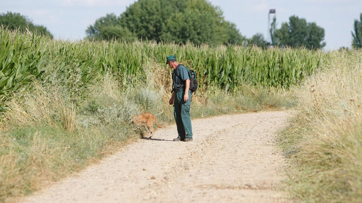 Búsqueda de una persona con un perro de rescate