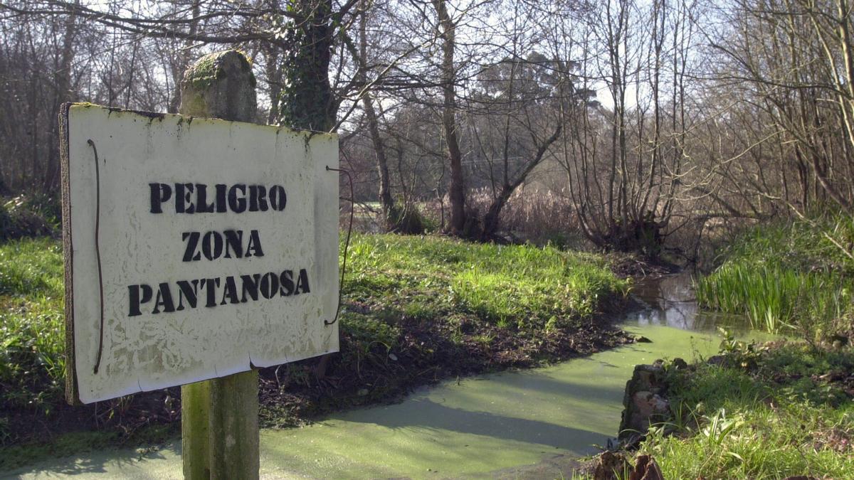 Una de lagunas de As Brañas de Sada