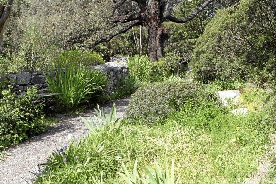 In Ariant blühen die mediterranen Pflanzen um die Wette. In dem von Heidi Gildemeister entworfenen Garten wird vieles den Launen der Natur und dem Zufall überlassen. Aber nicht alles.