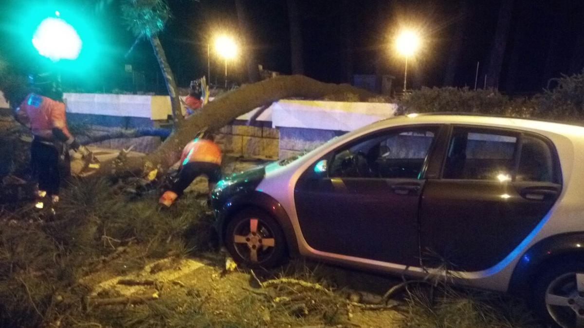 Operarios tratan de retirar el pino caído sobre el coche en Samil