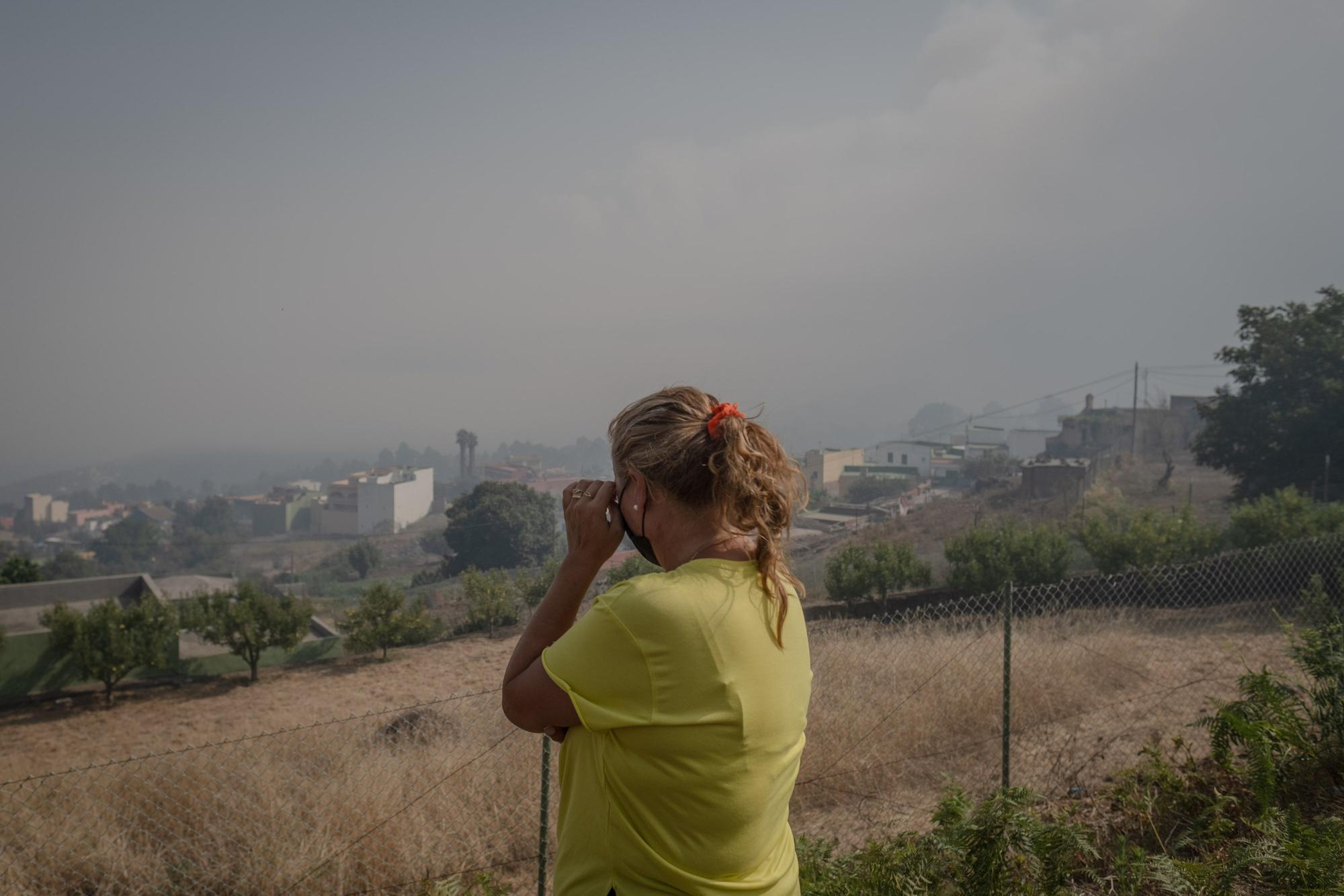 Evolución del incendio en Tenerife