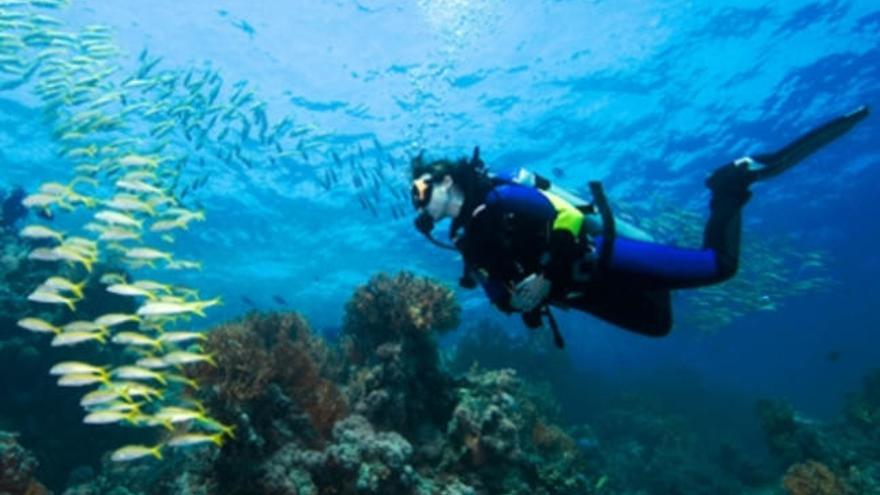 Caleta de Fuste vende sus fondos marinos en revistas de buceo alemanas