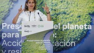 Teresa Ribera, ministra para la Transición Ecológica, en el ’Climate Action Summit’ esta semana en Sevilla.