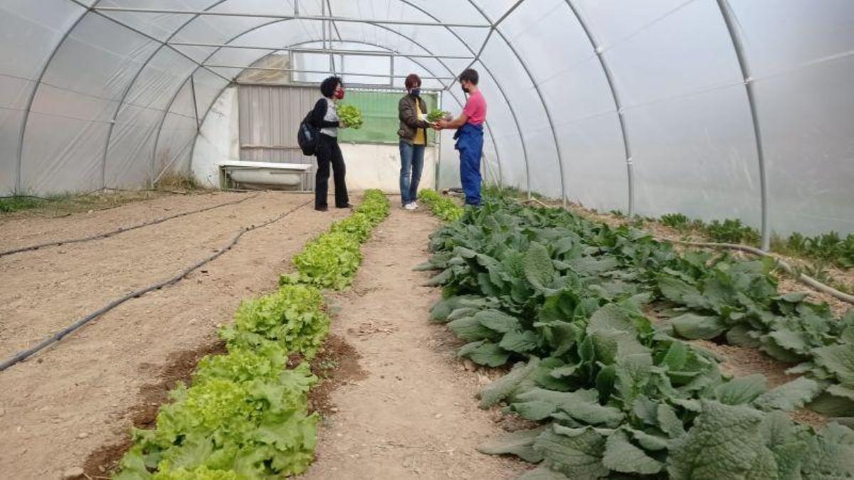 La casa de las plantas, un proyecto para descubrir el futuro laboral