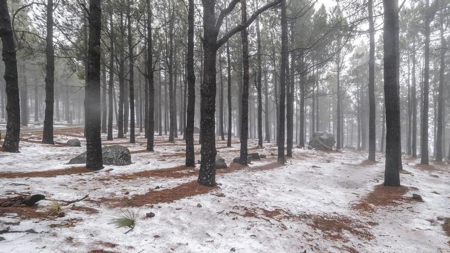 ¿Has pasado más frío de lo normal? Los datos aclaran si este invierno en Canarias ha sido realmente excepcional