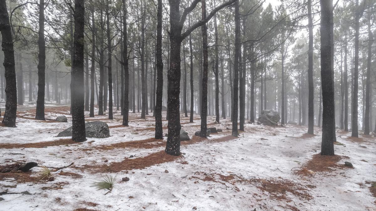 ¿Ha sido este invierno en Canarias más frío de lo habitual?