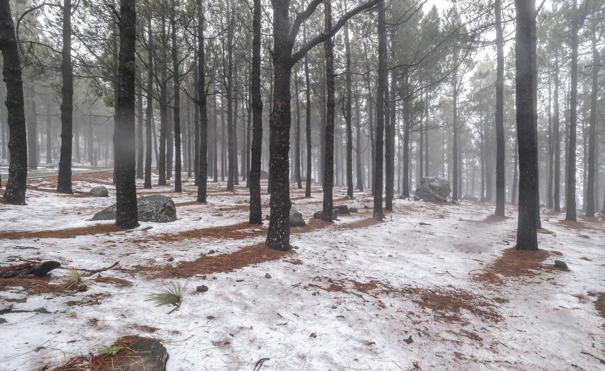 Nieve en la cumbre de Gran Canaria tras el paso de la borrasca Regina.