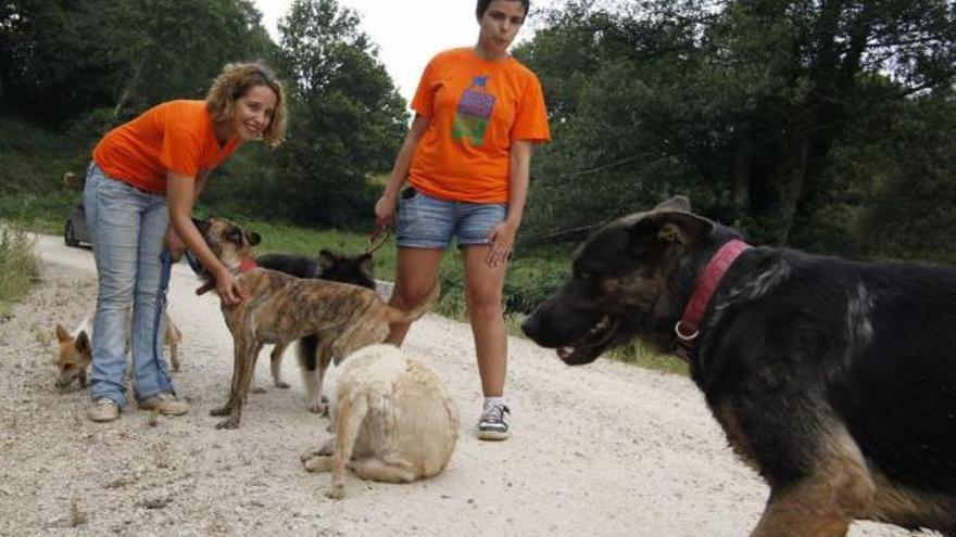 Estefanía Rodríguez y otra voluntaria, junto a perros acogidos el pasado verano.  // Bernabé/Gutier