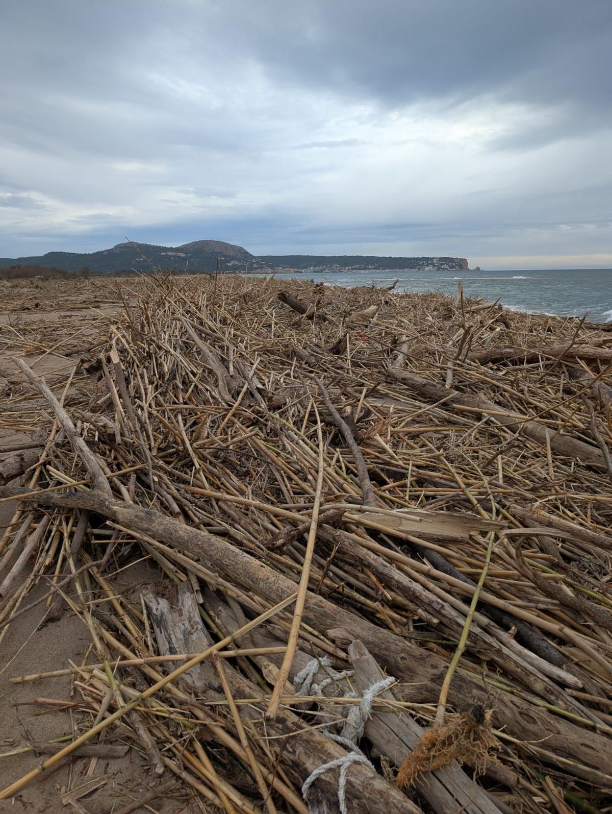 Danys a Torroella de Montgrí pel temporal Harry