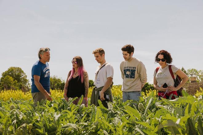 Navarra, otro turismo