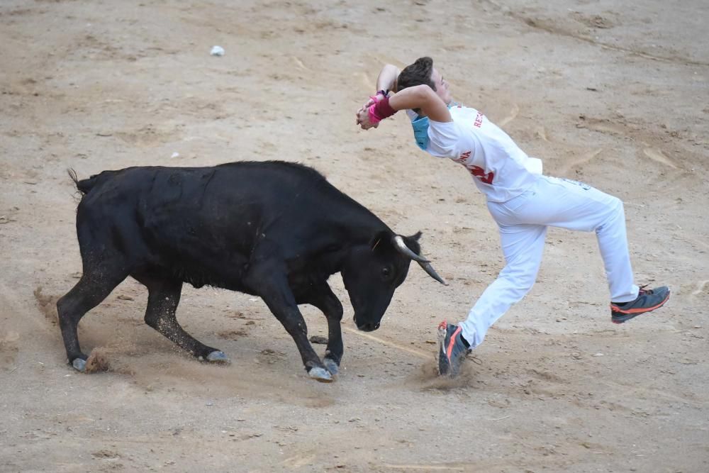 Corre de bou de Cardona