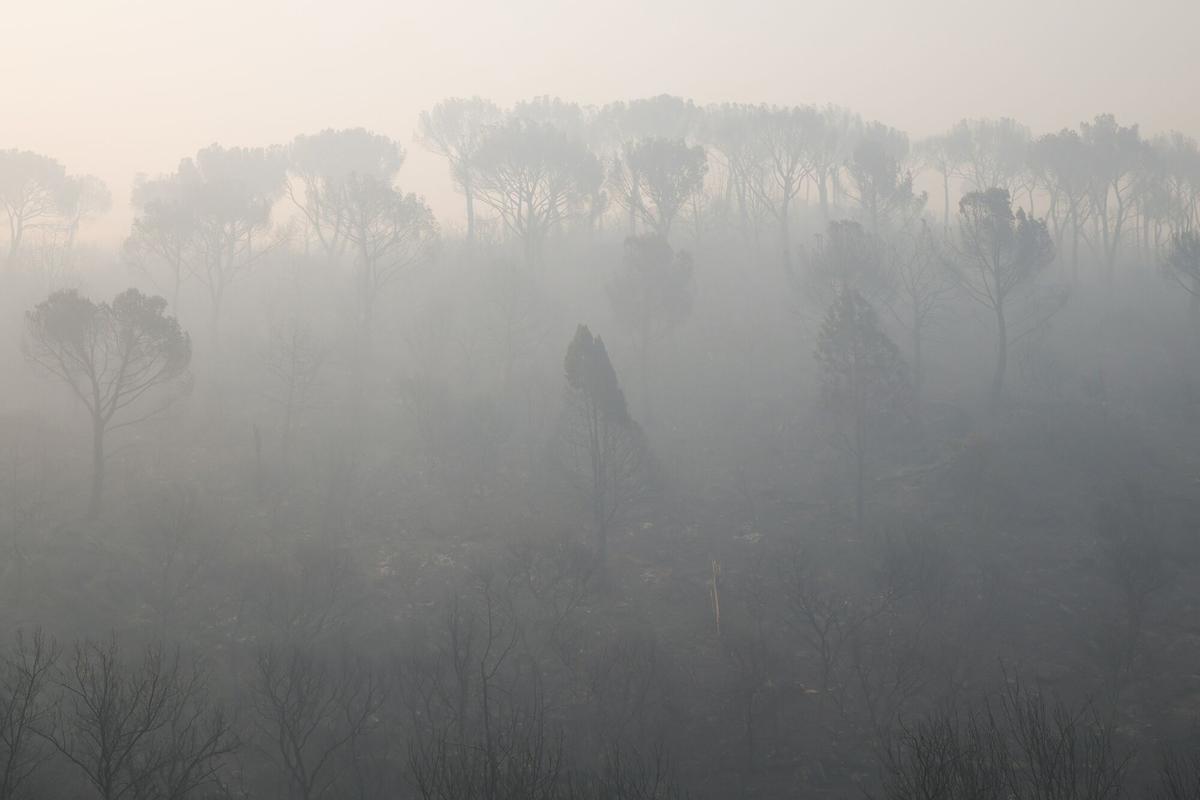 Vista del humo del incendio forestal, a 27 de julio de 2026, en Navas del Rey, Madrid (España).
