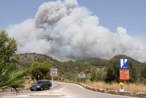 Alarm auf Mallorca: Waldbrand bei Andratx