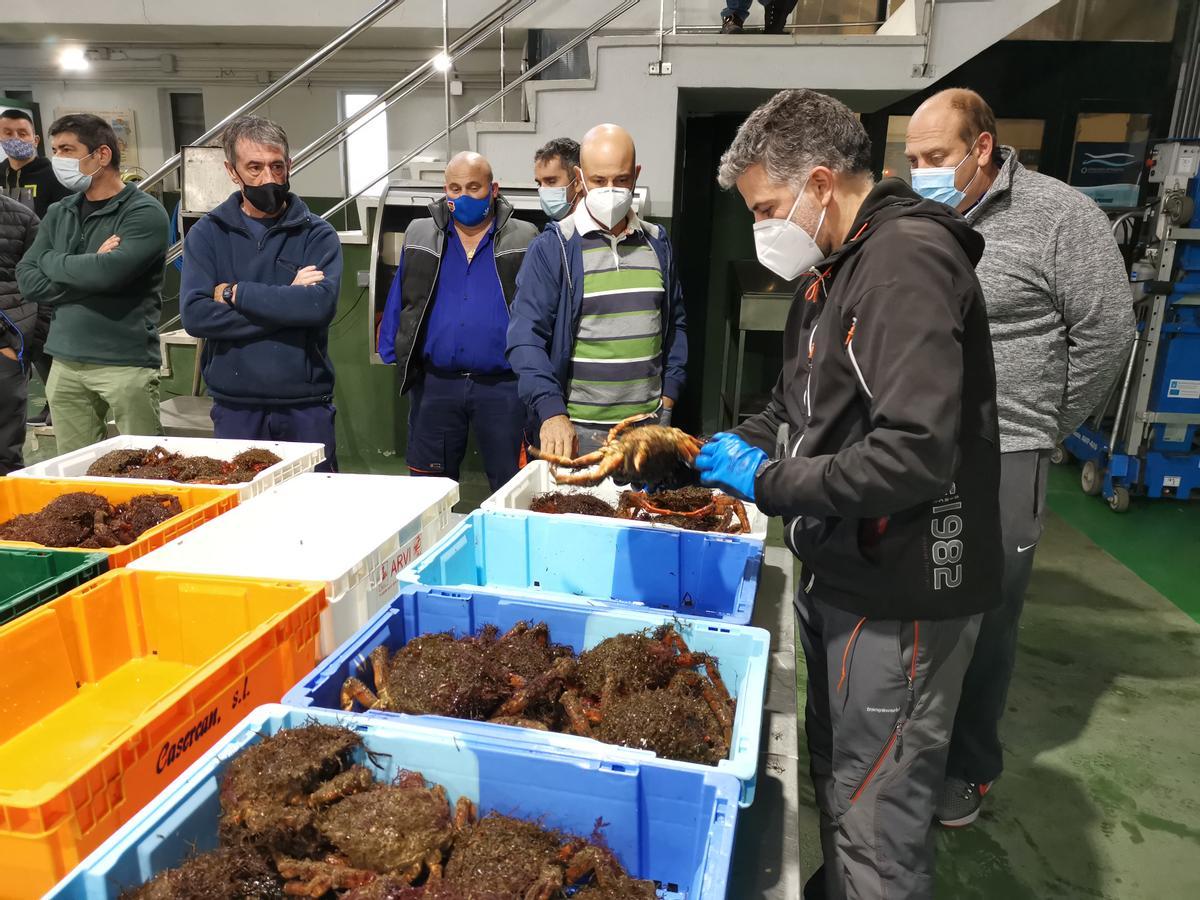 La apertura de la campaña de la centolla del año pasado en la lonja de Bueu.