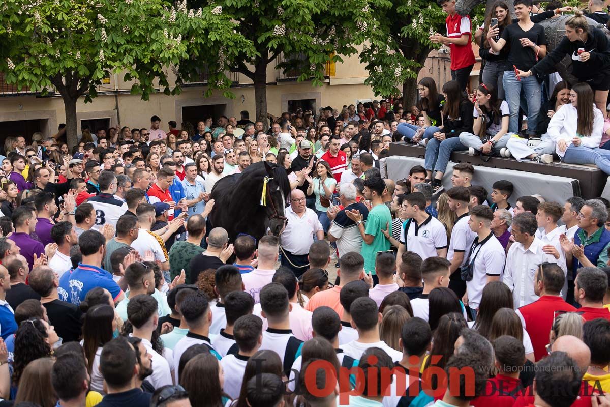 Así ha sido la entrega de premios del concurso morfológico de los Caballos del Vino de Caravaca