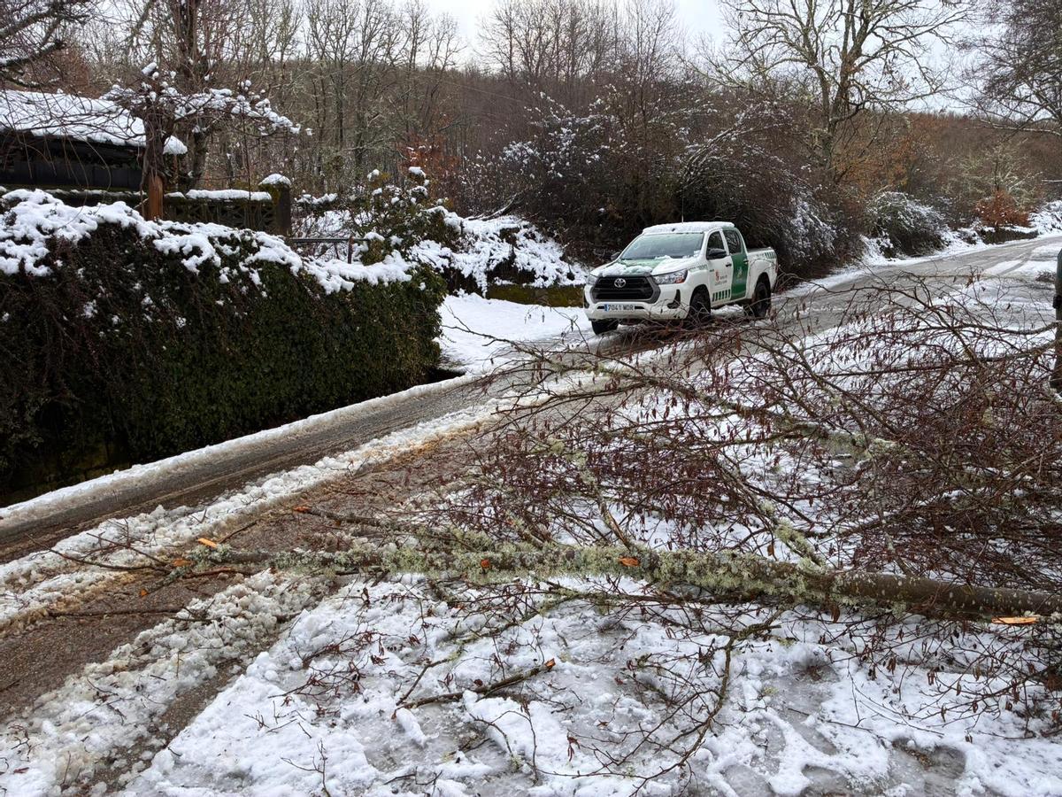 La nieve vuelve a conquistar Sanabria.