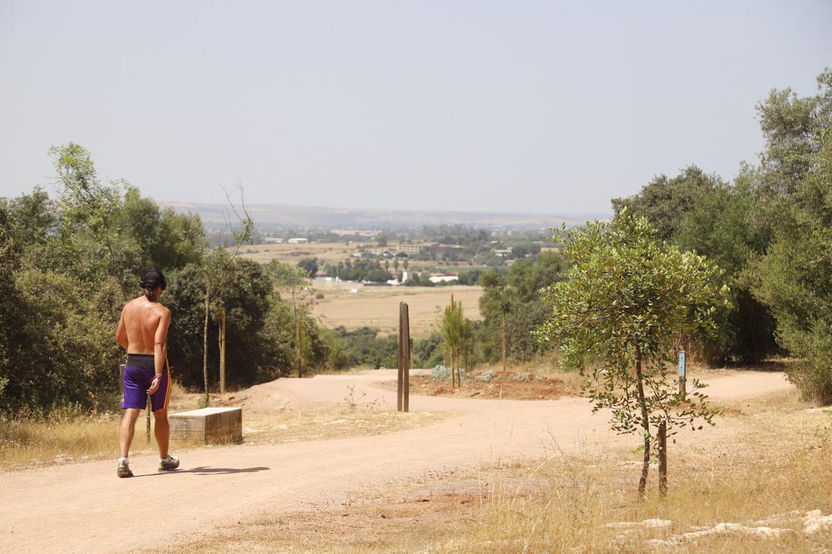 El Patriarca recibió una inyección de medio millón para una mejora integral. El Ayuntamiento acometió en 2023 la obra de reforma de la Cuesta del Reventón. Córdoba José María Bellido y Torrico presentan mejoras en el parque circuito de El Patriarca