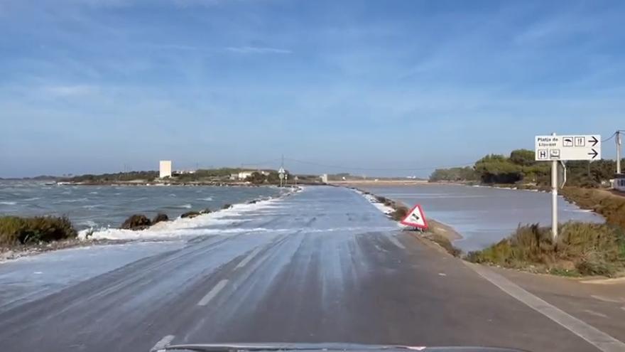 Los efectos del temporal de viento en Formentera