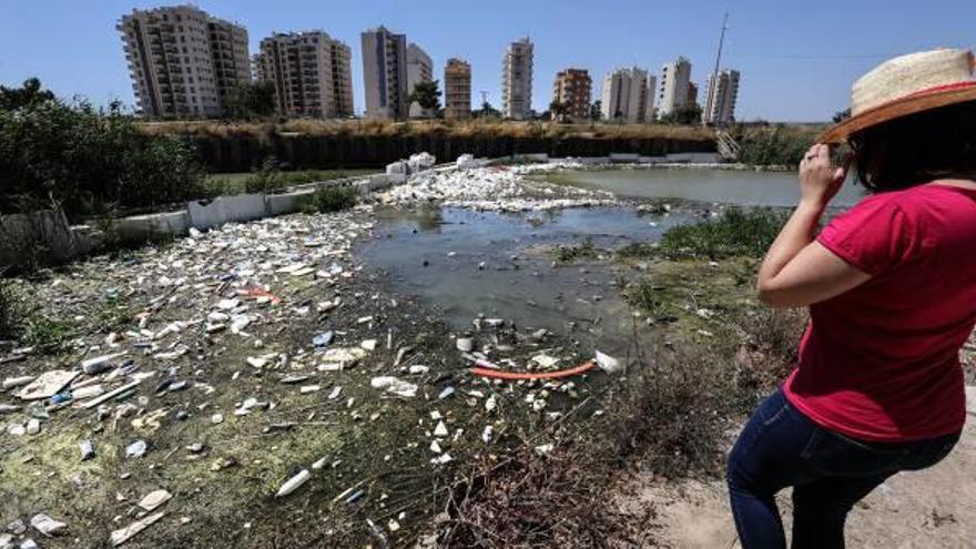 Greenpeace pone al Segura como ejemplo de las basuras y plásticos que acaban en el mar