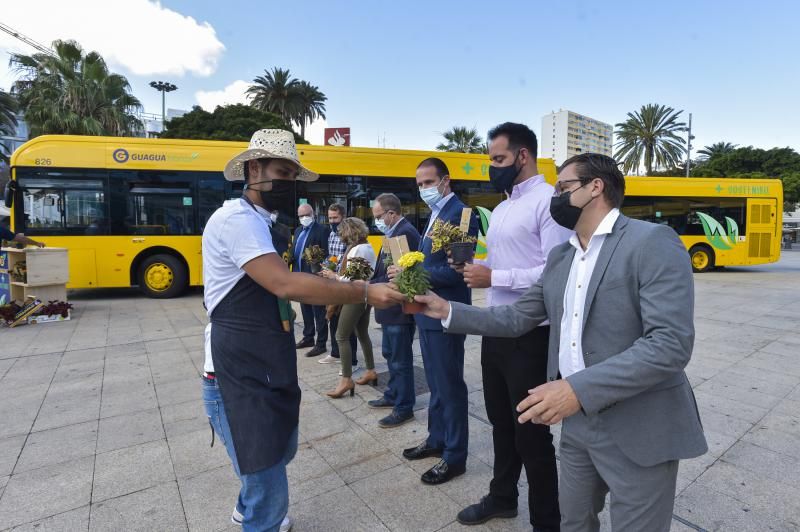 Guaguas Municipales renueva su flota de vehículos