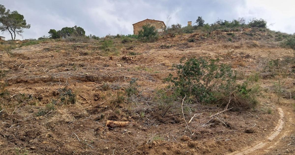 El impacto de los trabajos en la ladera del Tossal de l'Asprar