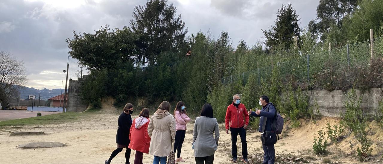 El patio y la parcela forestal anexa se integrarán como un bosque.