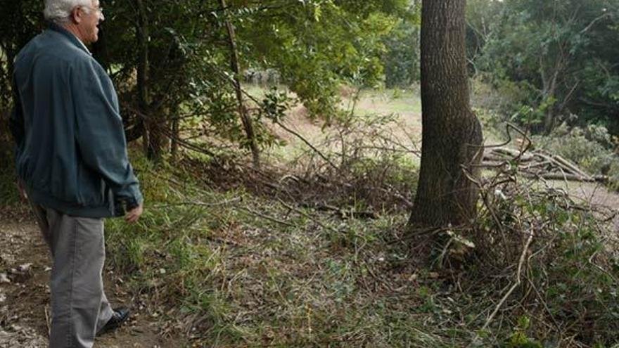 El presidente de la Comunidad de Montes de Quintela, Luis Veiga, muestra la parcela arrasada.  // Joel M.