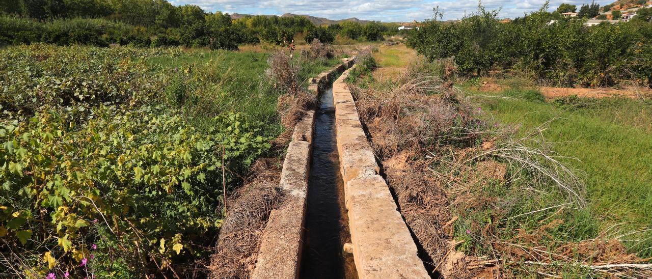 Espacio natural junto al Túria por donde discurriría la Variante Sur de Pedralba.