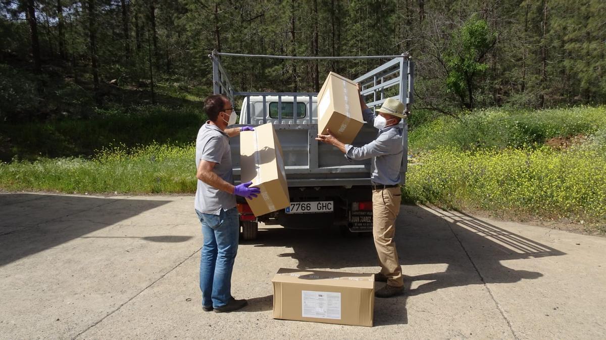 El Cabildo entrega 700 trampas para proteger 5.000 albaricoqueros de la mosca de la fruta en los altos de San Bartolomé de Tirajana