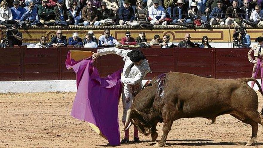 Toros o el poder de una tradición