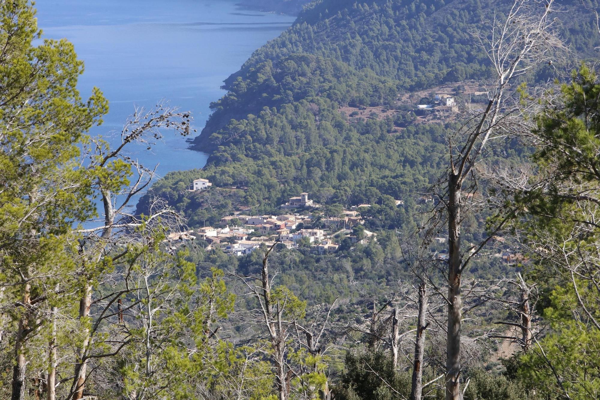 Urlaub auf Mallorca 2023: Mit dem Fahrrad unterwegs auf der Panorama-Straße Ma-10