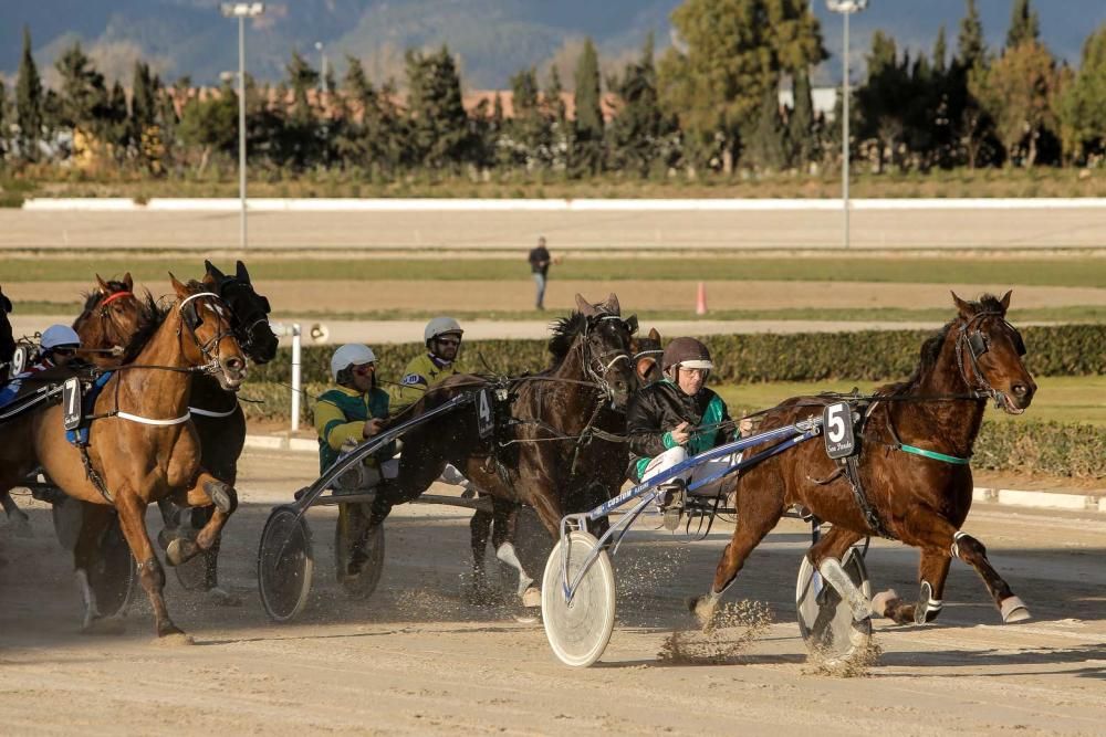 Ambiente en el hipódromo de Son Pardo