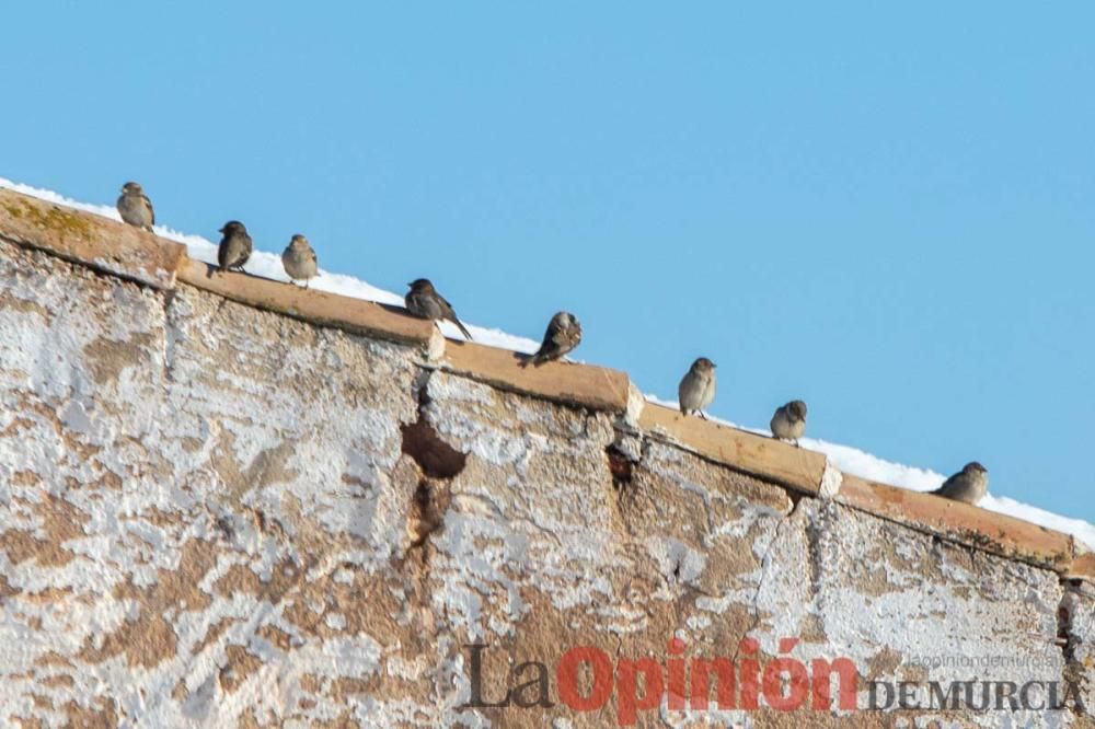 La nieve sigue siendo protagonista en el Noroeste