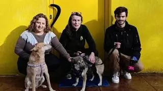 El viaje de Hera: de Kazajistán a Siero para un final muy feliz que la ha llevado a un hogar en Gijón