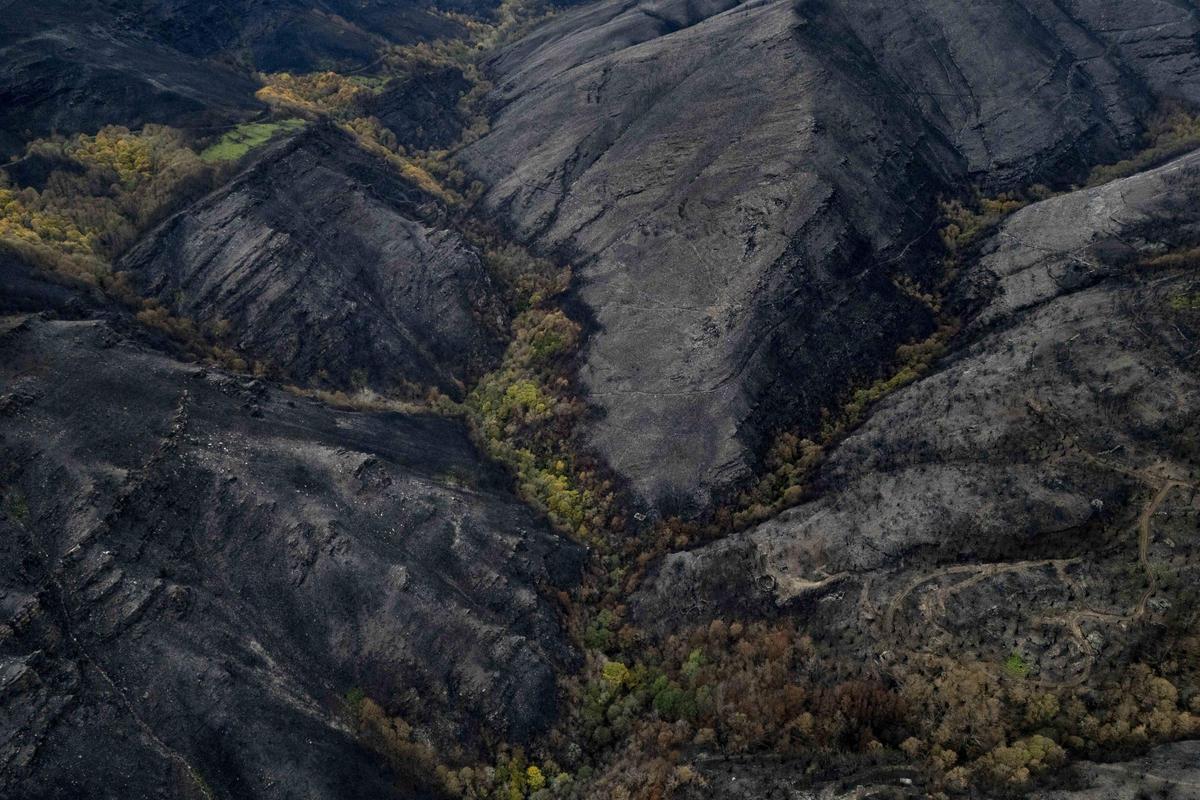 Naturaleza arrasada por el fuego en las montañas de Vilamartín de Valdeorras.