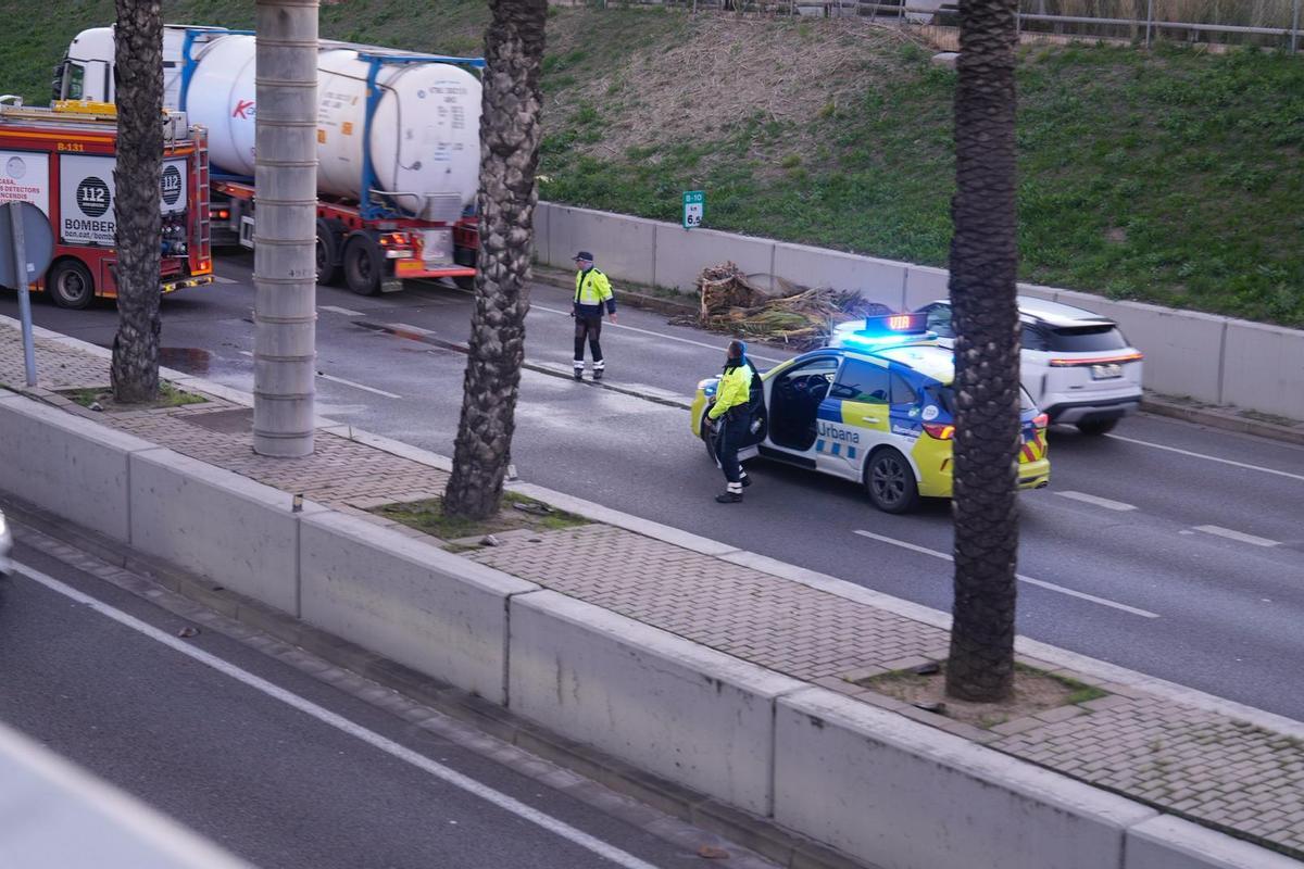 La policía paraliza el tráfico en la ronda Litoral de Barcelona para que los bomberos retiren ramas de árboles caídas por el temporal de viento.