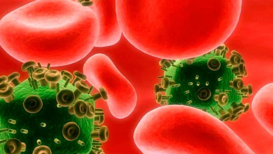 Recreación del virus del VIH entre glóbulos rojos