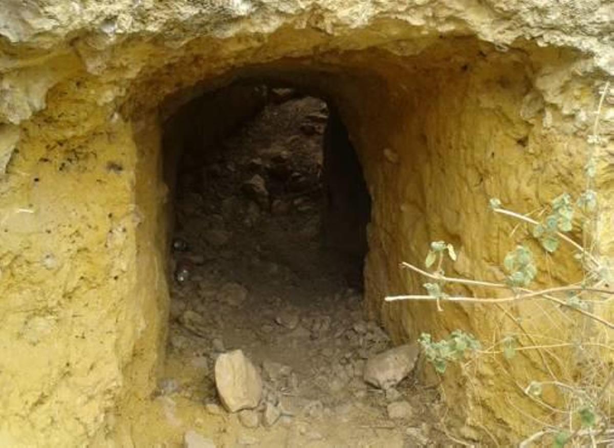 Tres expertos reconstruyen la Inmediata
