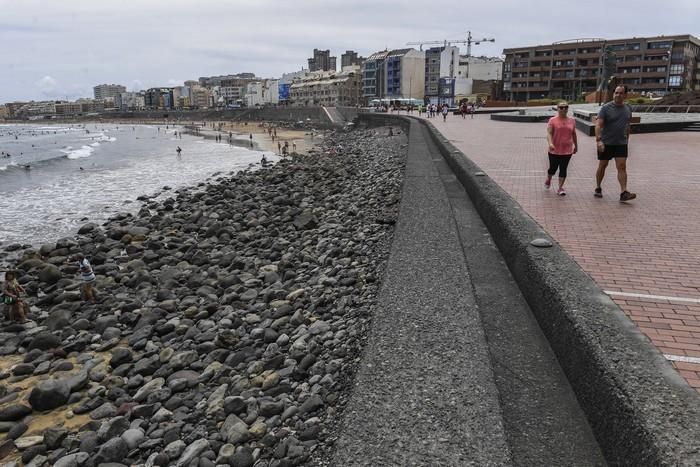 Actividades prohibidas en la Cícer