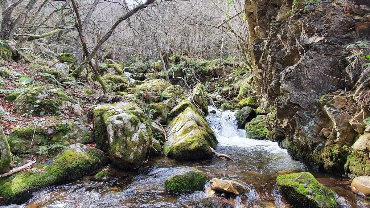 Cascadas de La Varera