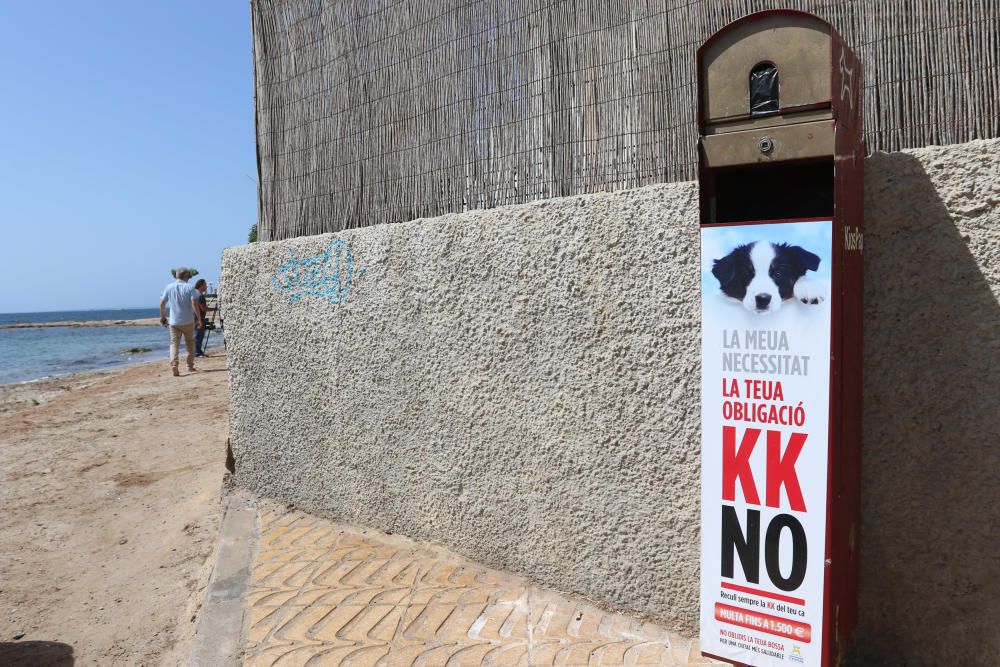 Primera playa abierta para los perros todo el año en Ibiza.