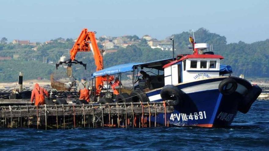 Trabajadores en una batea de la ría de Arousa, ayer. // Iñaki Abella