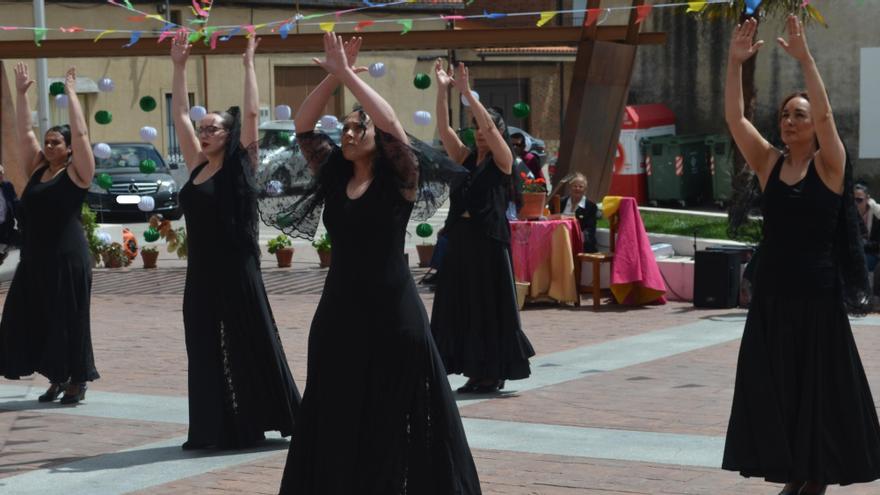 Bailes flamencos en la Plaza Mayor de Roales del Pan