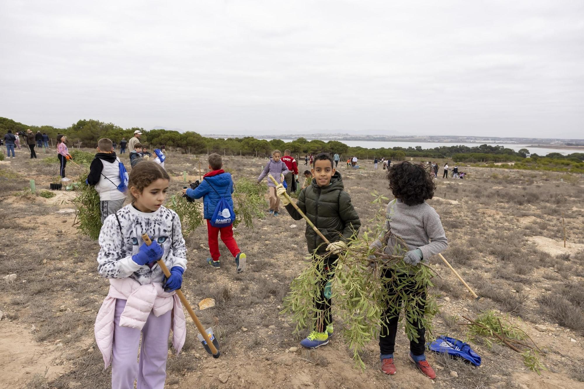 800 escolares se implican en la celebración del Día del Árbol con la plantación de especies autóctonas en torno a la laguna de La Mata de Torrevieja